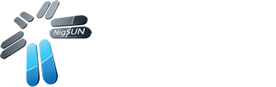 Nigsun Logo